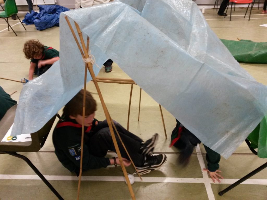 Shelter building